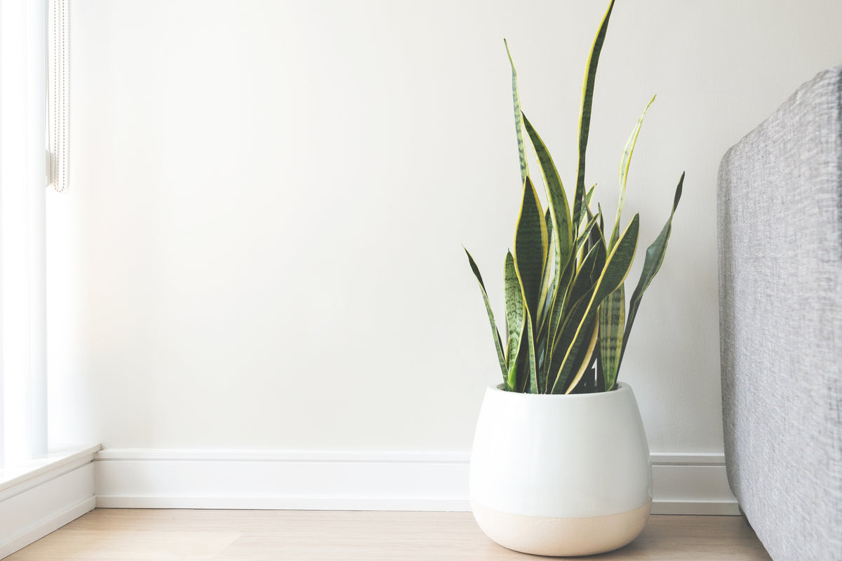 Featured banner image 
